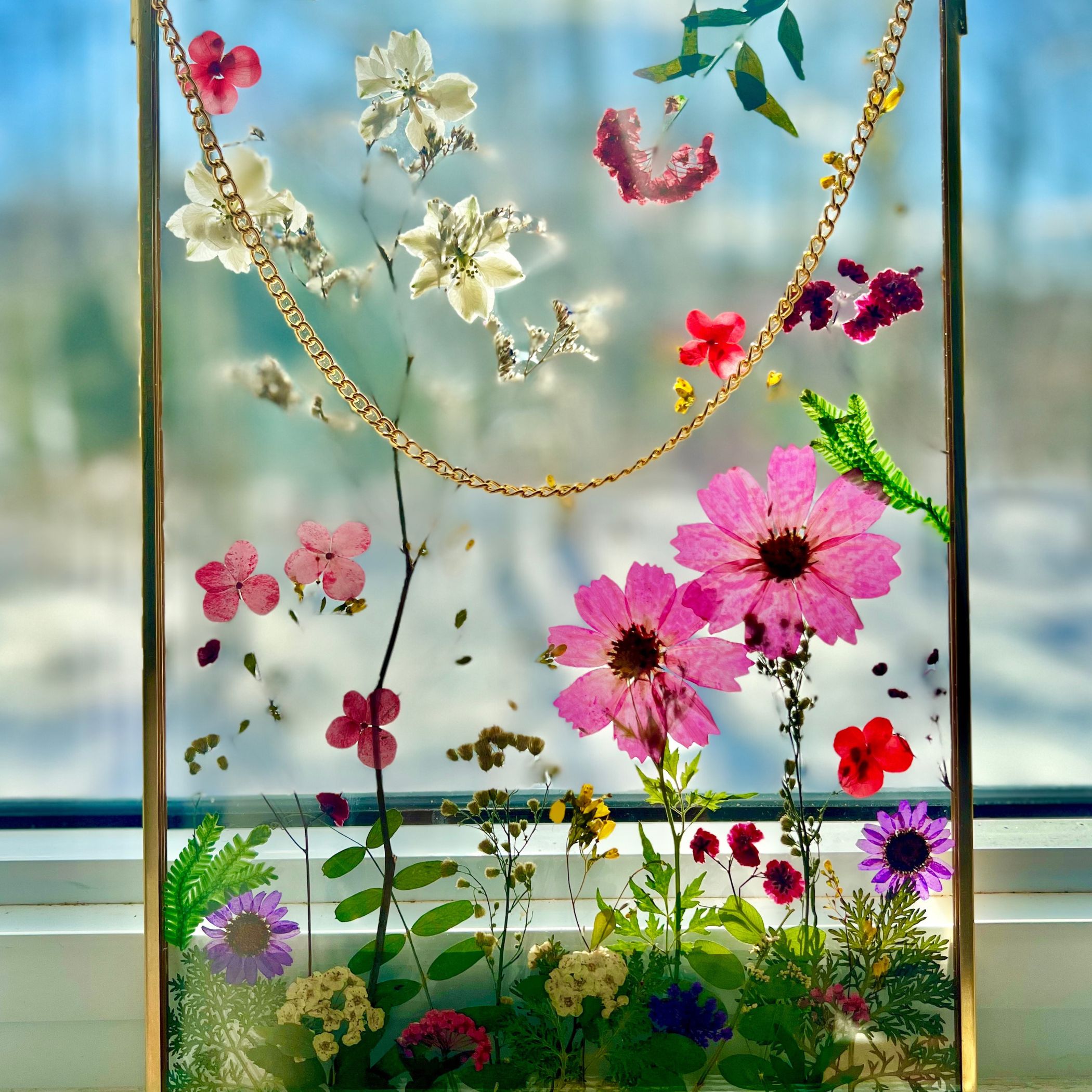 pressed flower art in floating glass frame