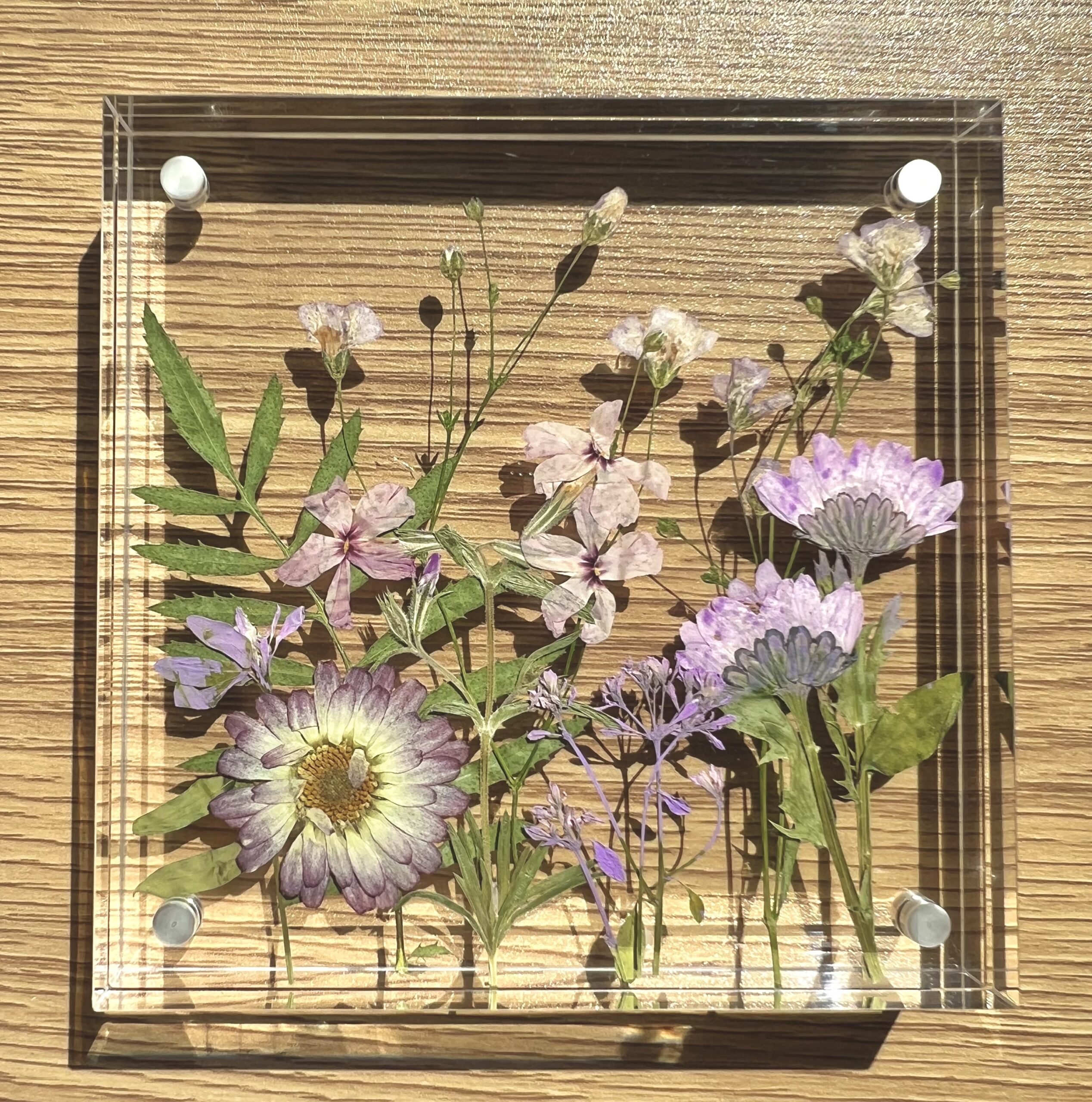 DIY pressed flower frame kit: Acrylic flower shelf sitters (Set of 2) - Image 2