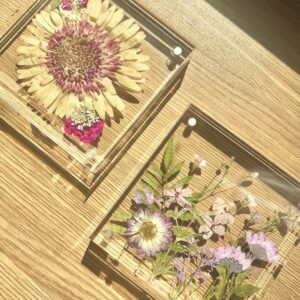 DIY pressed flower frame kit: Acrylic flower shelf sitters (Set of 2)