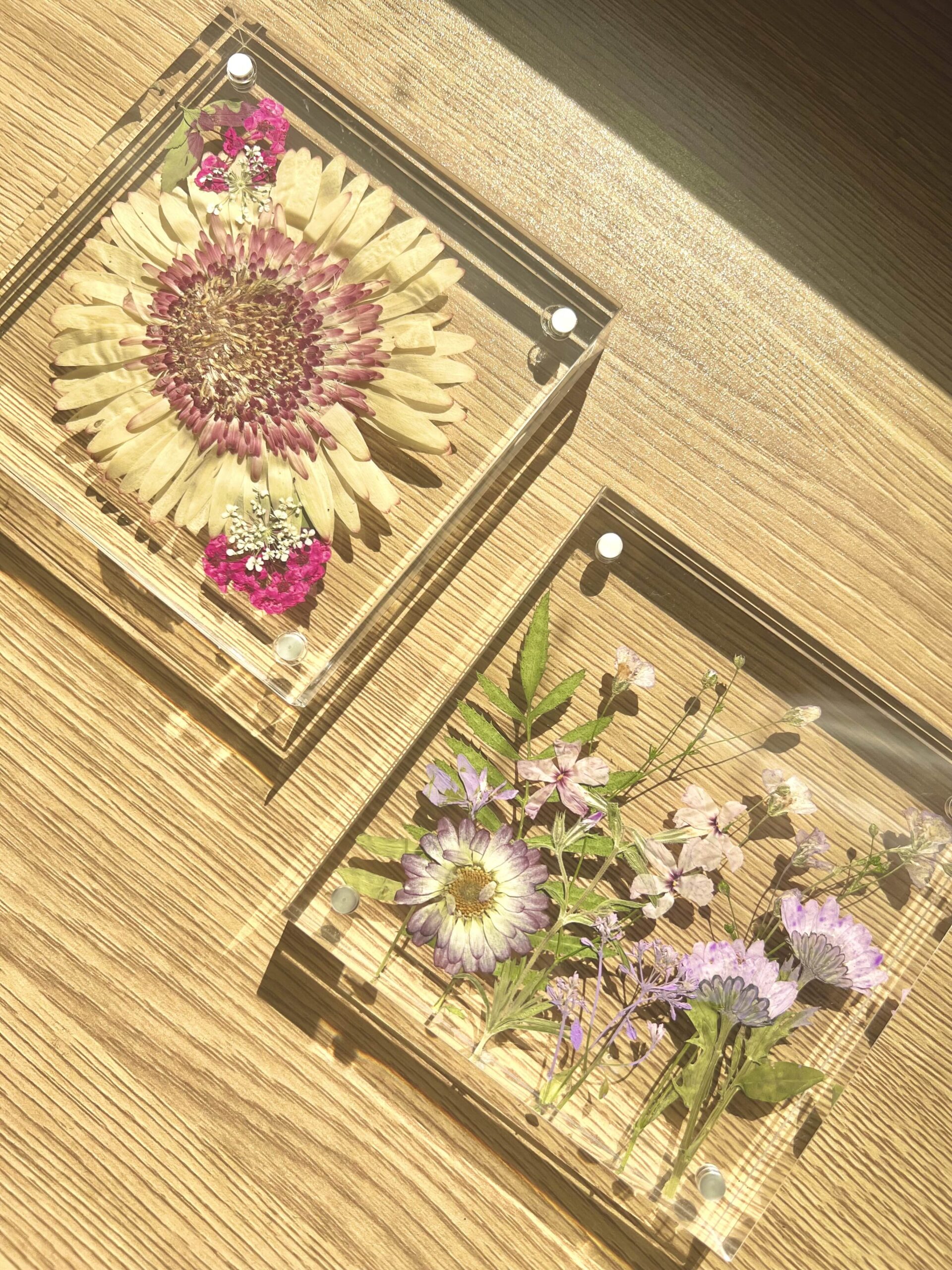 DIY pressed flower frame kit: Acrylic flower shelf sitters (Set of 2)